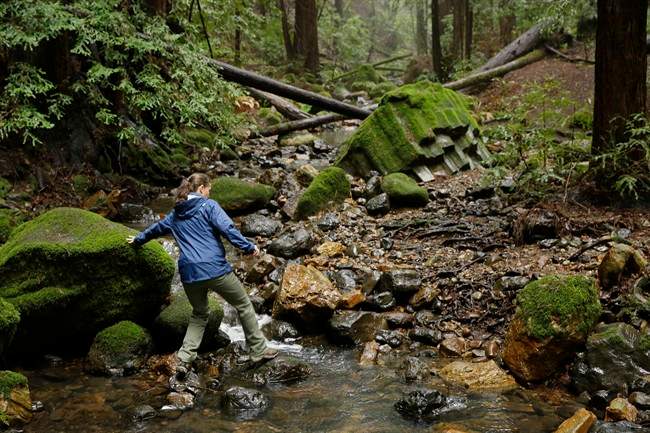 Megan Lilla, a lands program assistant with the Land Trust of Napa Valley, crosses Redwood Creek at the Archer Taylor Preserve in Napa, Calif.