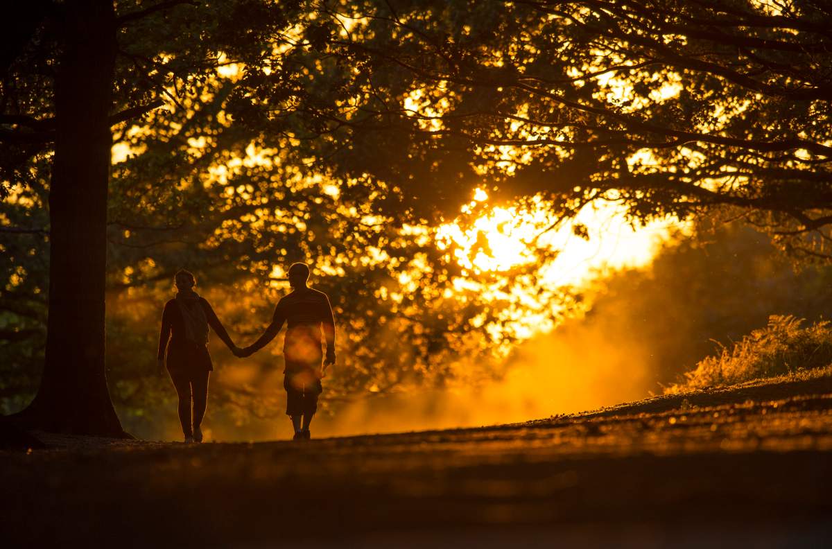 Relationships can be a lot of hard work. Luckily, there's  an eight-step formula for long-lasting love.