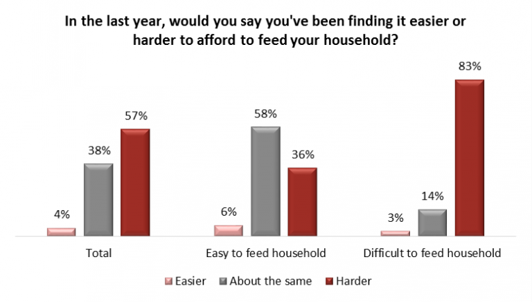 Rising cost of food in Canada leading people to choose less healthy options: Poll - image