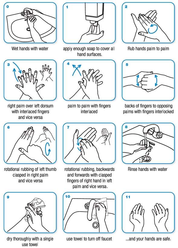 Hand washing: 6 steps to kill the germs on your hands - image