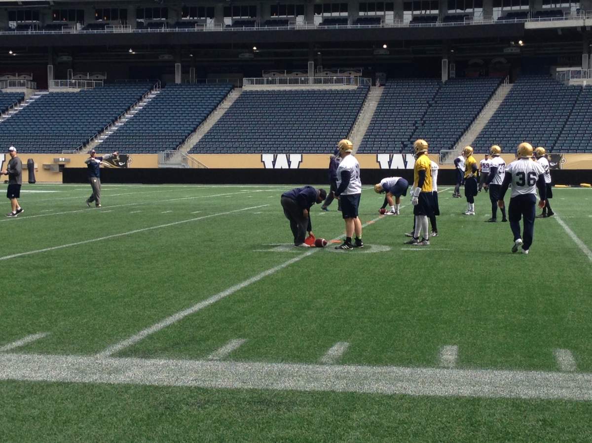 Winnipeg Blue Bombers kick off mini-camp - image