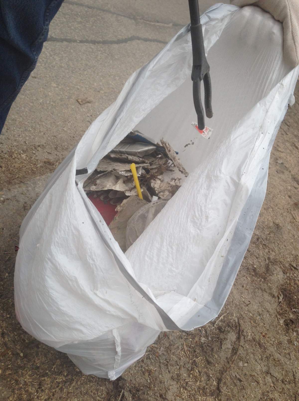 Around 80 people joined Saturday's West End clean-up.