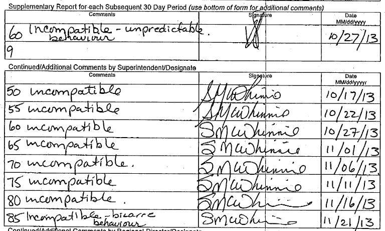 A severely sick man spent 400 days in solitary. This isn’t an anomaly: In Canada, it’s common - image