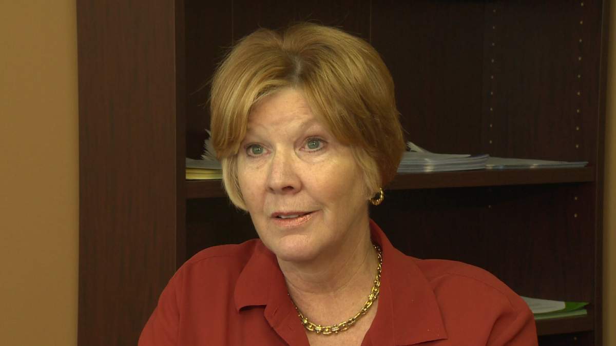 Free tuition comes at a cost, NB Tuition Access Bursary critics warn - image