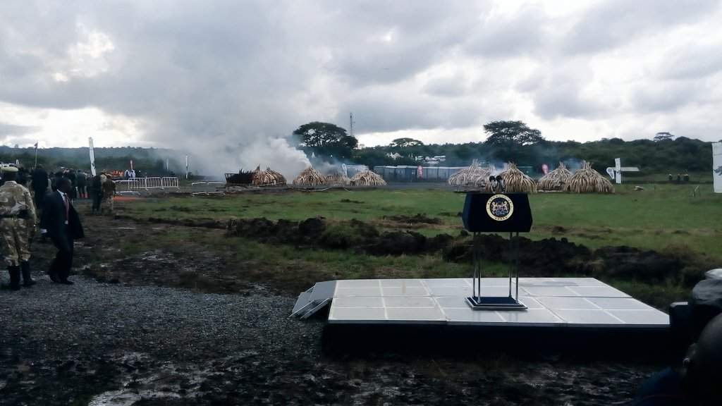 IN PHOTOS: Kenya government burns 105 tons of ivory to protest poaching - image