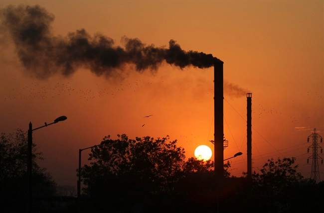 We are losing the war against climate change, a prominent environmentalist warns.