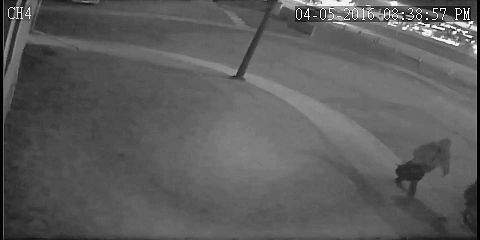 Calgary police are searching for a person of interest potentially involved in a number of suspicious fires in Marlborough. PLEASE NOTE: police say the time stamp on this photo isn’t accurate.