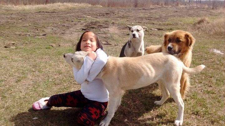 Meghan, 9, says her three dogs – Starky, Brute and Prince – kept her warm while she spent a frigid evening in the outdoors in northern Alberta.