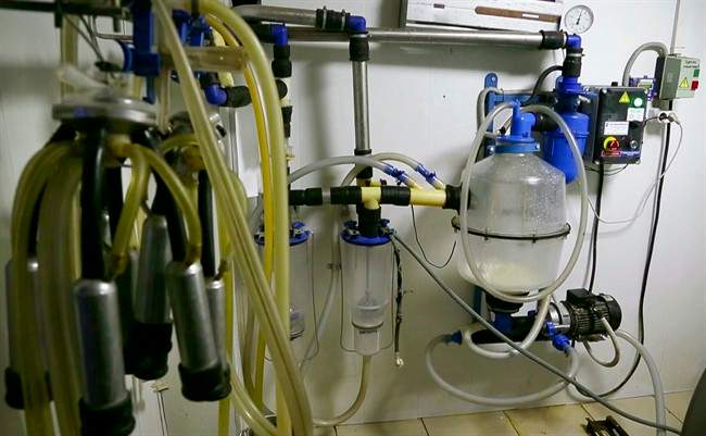 In this photo taken from the footage on Monday, April 11, 2016, an equipment for milking cows with milk is fixed on a wall at a farm in the village of Vorotets, on land, just 45 kilometres north of the Chernobyl nuclear power plant in Ukraine, where a reactor explosion and fire on April 26, 1986, belched a cloud of smoke infested with radioactive particles over much of northern Europe.