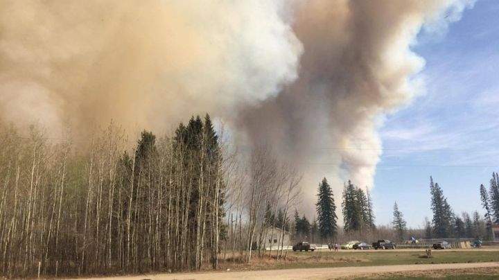Parkland County wildfires prompt local state of emergency, evacuations - image