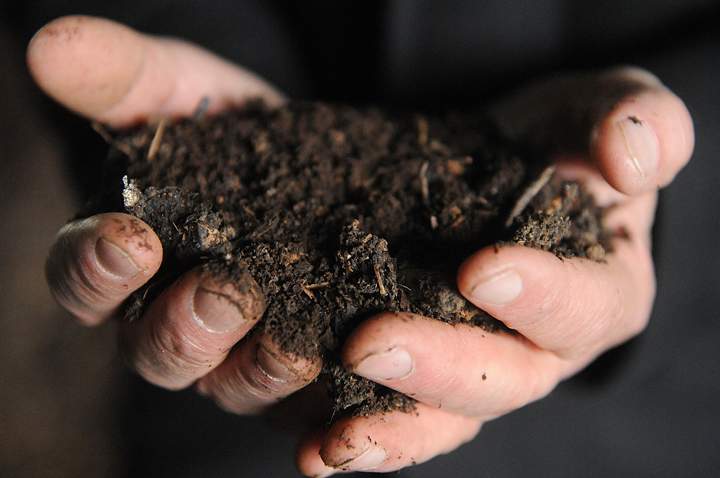 Soil is abundant with life.