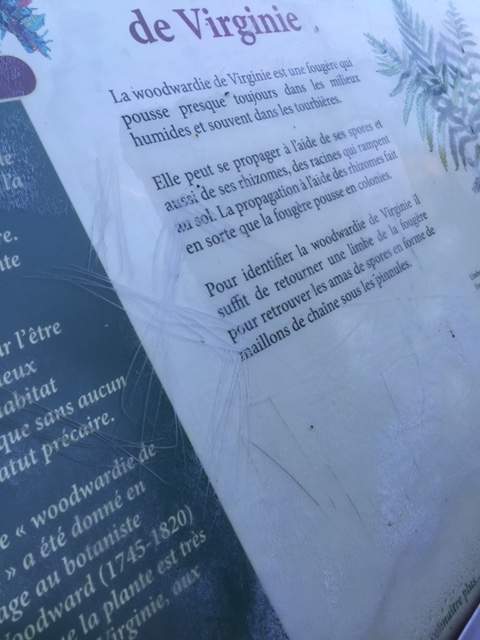 Warren Goldstein snapped pictures of the swastikas he found on park signs at the Nature de La Tourbière du Bordelais park in Saint-Lazare, Wednesday, April 13, 2016.