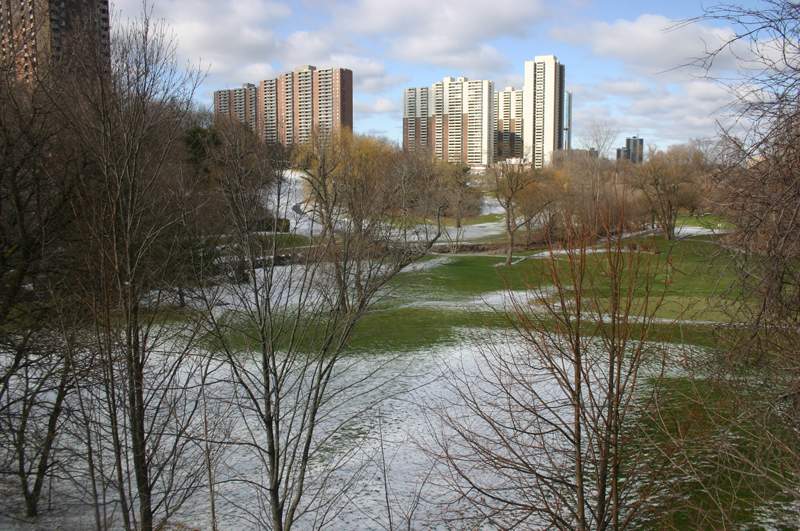 Apartment towers loom over Toronto's Dentonia Park golf course. The census tract they fall into has more native speakers of Bengali than English and nearly 600 children under the age of five. About a third of adult residents spent at least some time on welfare in 2010, tax data shows.