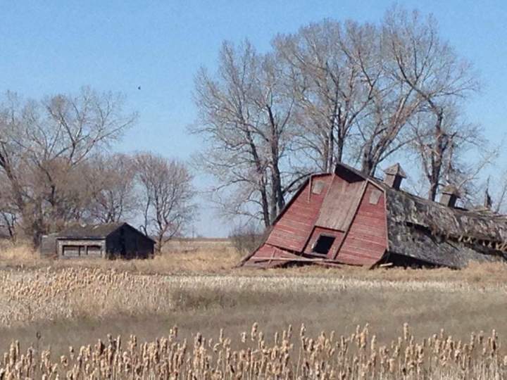 Teena Kovitch took this Your Saskatchewan photo in Allen.
