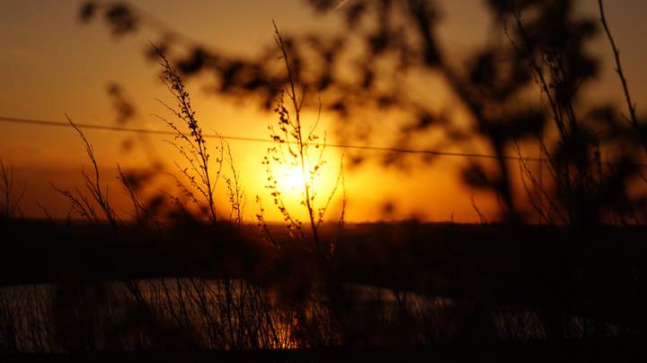 May 12: This Your Saskatchewan photo was taken east of Regina by Joshua Zorn.