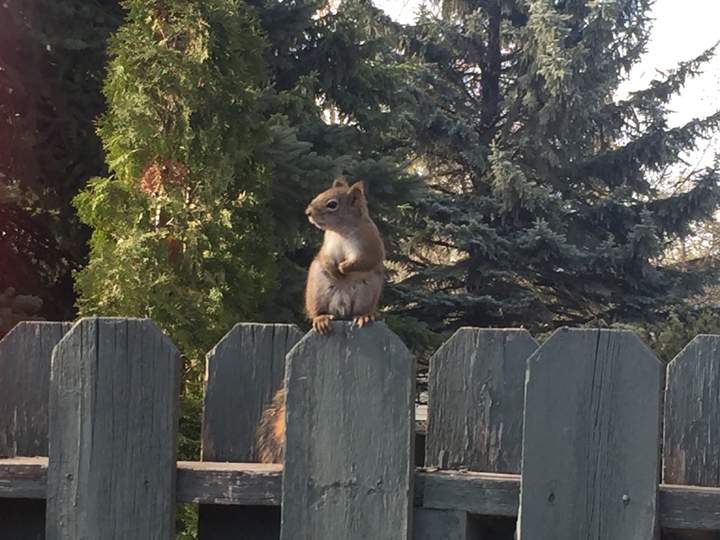 May 13: Global Saskatoon’s Lisa Ford took this Your Saskatchewan photo in Saskatoon.
