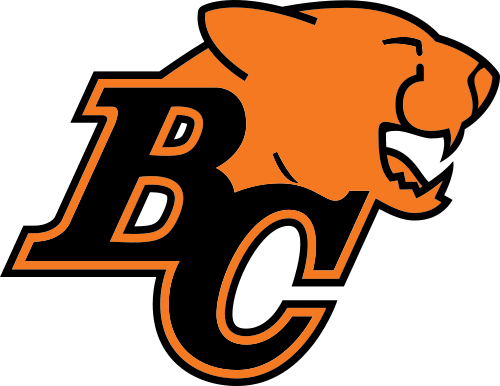 BC Lions end 2017 season with a whimper after crushing loss to the Toronto Argonauts - image