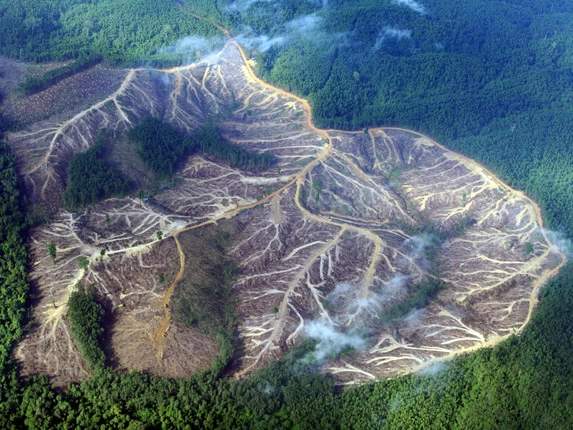 5 destinations to visit before they disappear - image