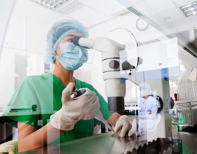 Cancer stem cell research.
