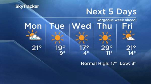 Southern Manitoba in for a blast of summer-like weather - image