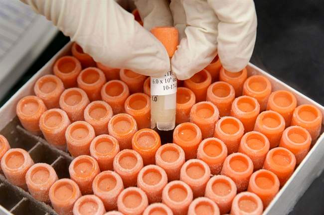 A researcher pulls a frozen vial of human embryonic stem cells at the University of Michigan Center for Human Embryonic Stem Cell Research Laboratory in Ann Arbor, Mich.