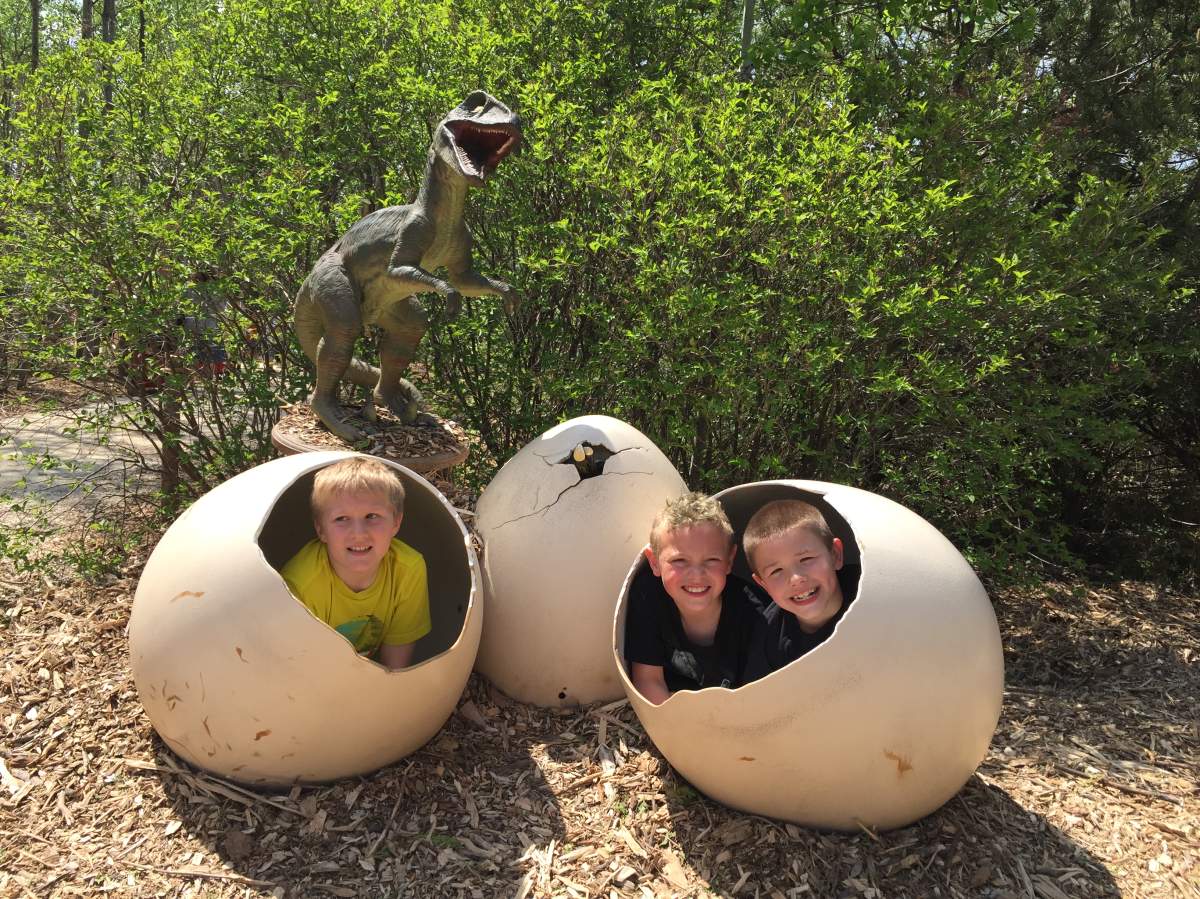 Assiniboine Park Zoo sets record with "Dinosaurs Alive!" exhibit.