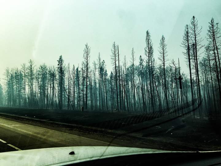 Twitter user @jeromegarot posted this image of burnt trees after a wildfire raged through the town of Fort McMurray, on Highway 63 to Edmonton, Canada, on May 3, 2016.