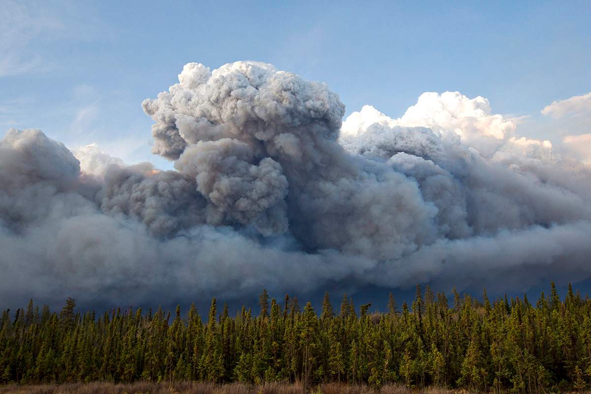 Smoke rises above trees as a wildfire burns in Fort McMurray, Alta., on Wednesday May 4, 2016. Officials say the predicted movement of the Fort McMurray wildfire into Saskatchewan has not happened but crews are not standing down.