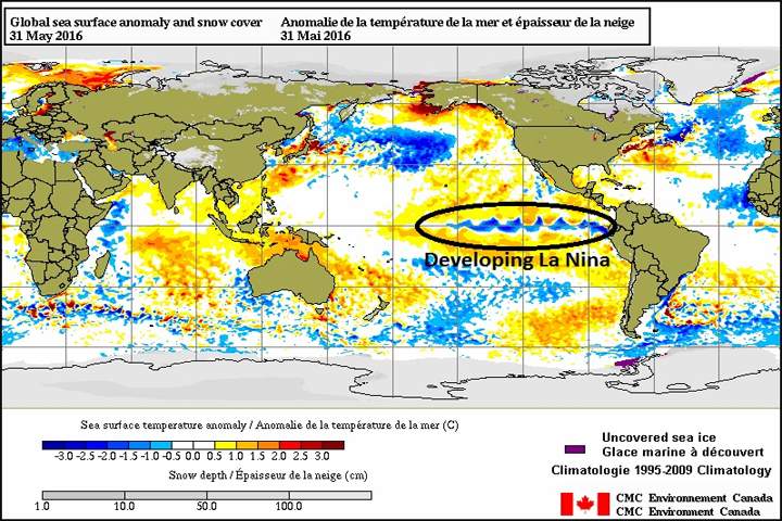 Cooling water in the Pacific Ocean is signalling a return of La Niña.