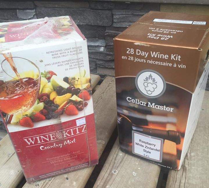 Fort McMurray wildfire: cheese slices, statue of David among items evacuees grabbed as they left town - image