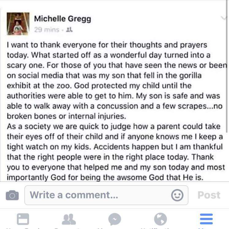 Harambe’s death: Is the parent-shaming over gorilla’s death going overboard? - image