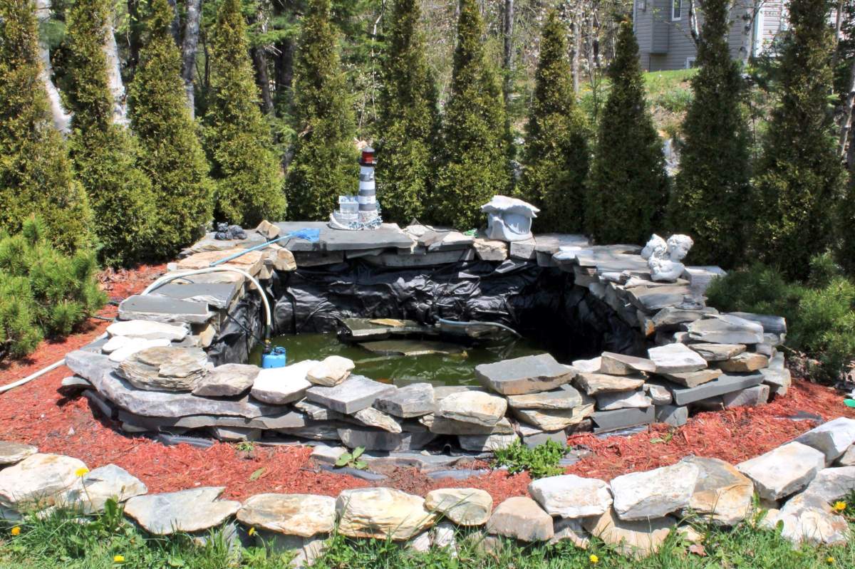 Landon Carrier-Michaud slipped into this fish pond at his grandparents house. He was placed in a coma but woke up the next day with no complications.