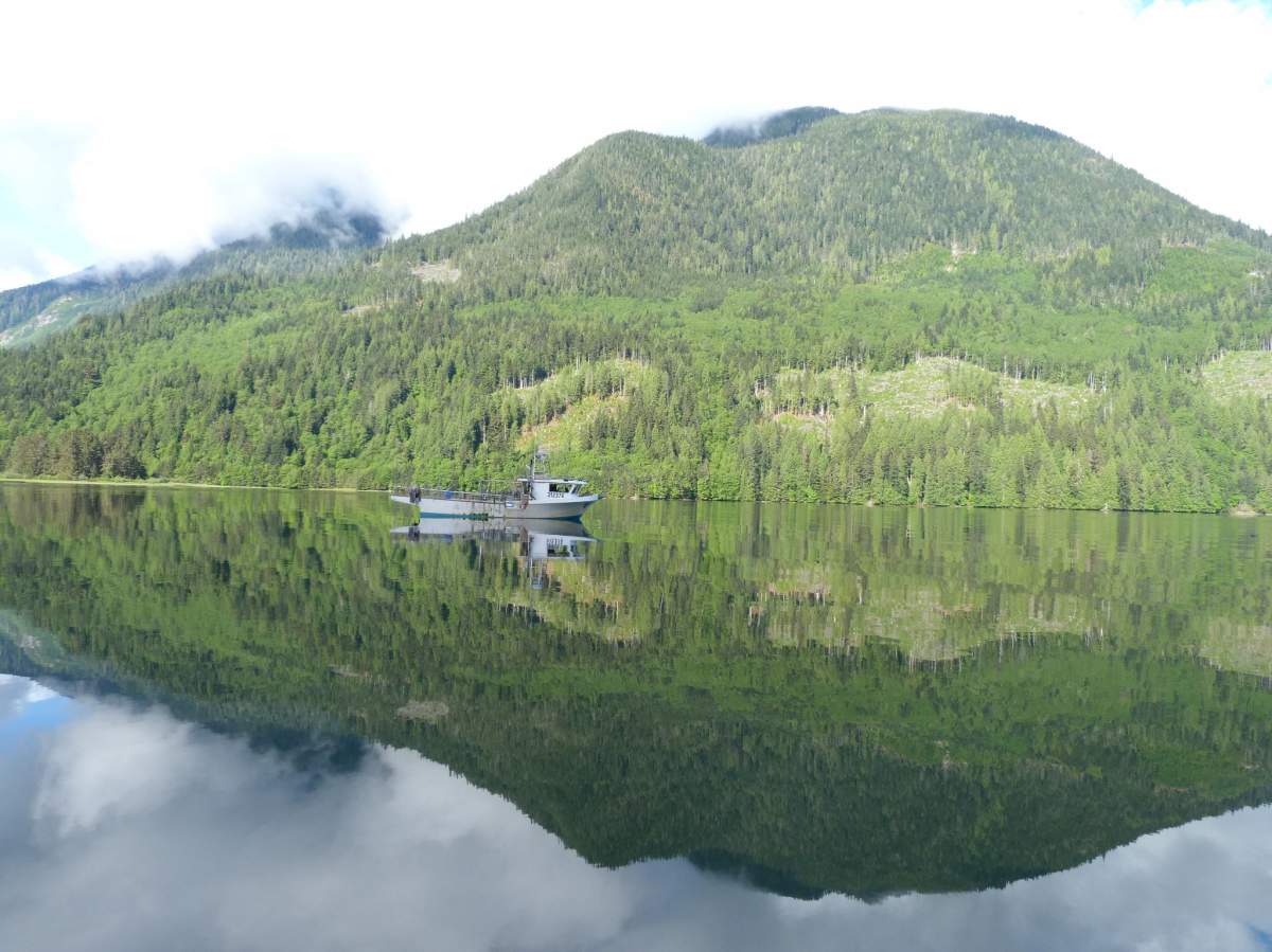 A small boat on the waters near Bella Coola in an undated file photo.