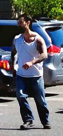 Surrey RCMP looking for suspect in road rage incident - image