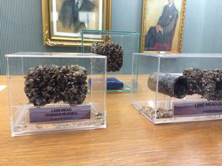 Saskatchewan has declared this week 'aquatic invasive species awareness week' in an effort to raise awareness and to keep invasive species out of Saskatchewan waters.