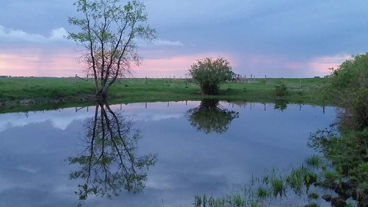 June 3: Aicha Bitam took this Your Saskatchewan photo of their newly filled dogout at Moreland.