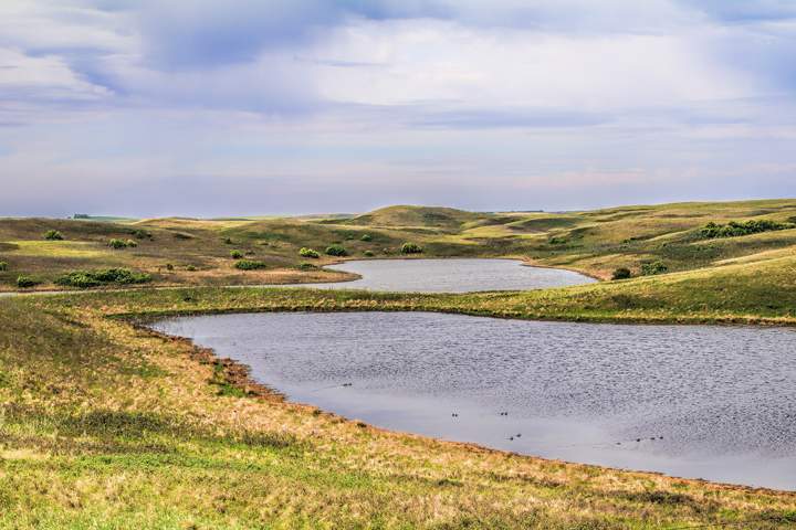 June 5: This Your Saskatchewan photo was snapped in Lillestrom by Juan Cardama.