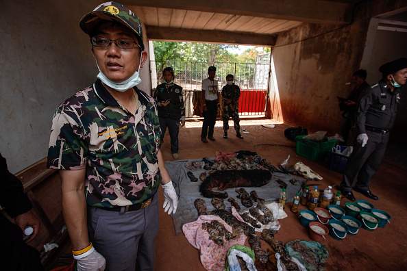 Deputy DNP director-general Adisorn Nuchdamrong stands by the carcasses of 40 tiger cubs and a bear found undeclared at the Wat Pha Luang Ta Bua Tiger Temple on June 1, 2016 in Kanchanaburi province, Thailand. 