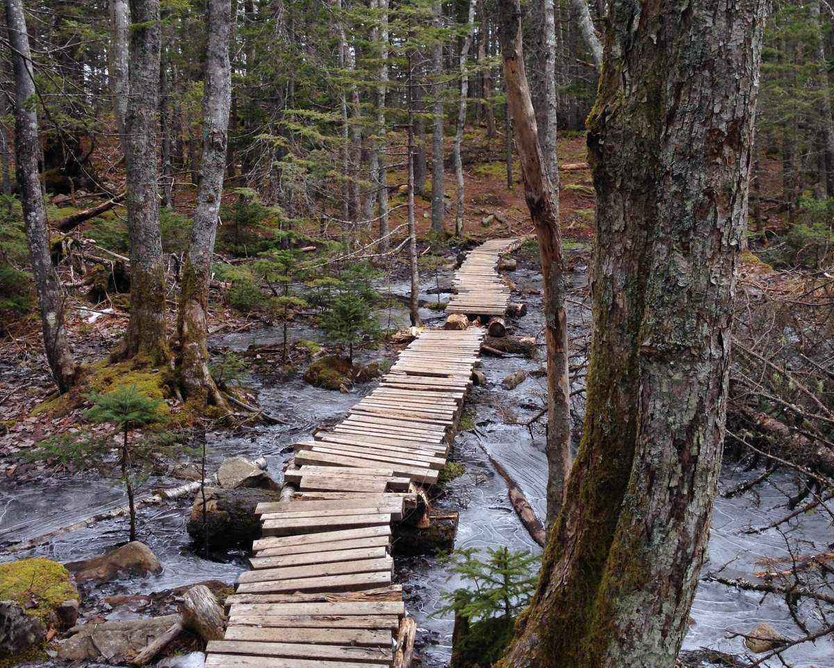 File - The Government of Canada has provided the Halifax Regional Municipality with $860,000 to purchase 135 hectares of urban wilderness.