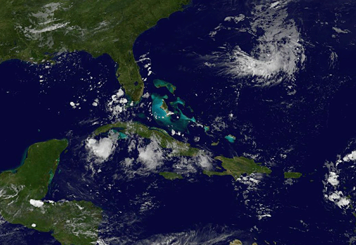 A new study has found that the Caribbean Sea is whistling.