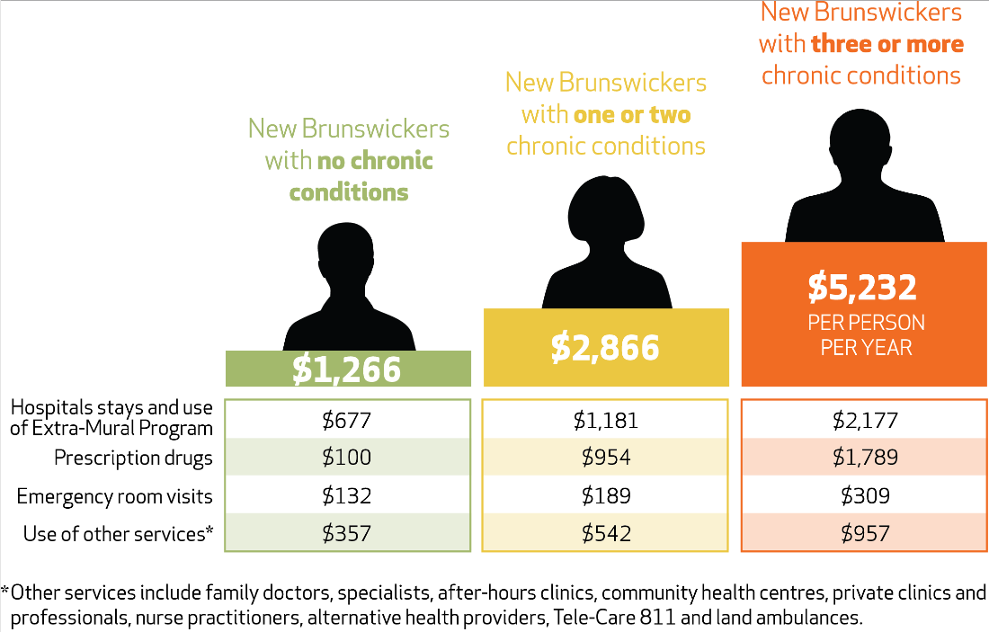 Cost of N.B. chronic illness care could skyrocket by $100M: report - image