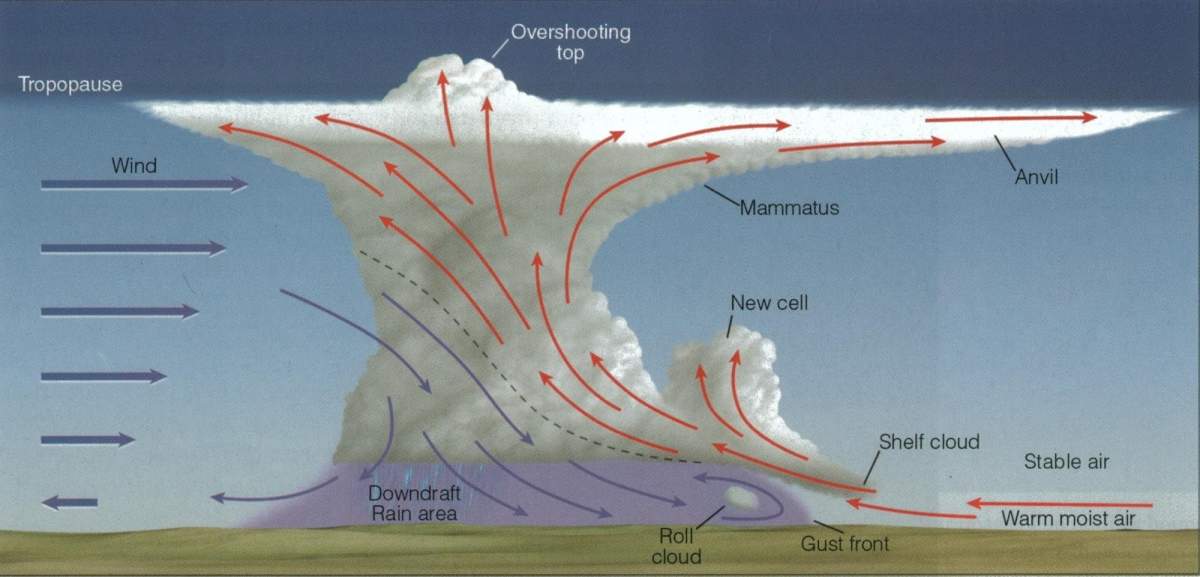 Another type of arcus cloud was spotted north of Melville, Sask. by Colleen Schofer early Thursday afternoon. Roll clouds are formed when warm, unstable air moves over cooler air and winds start to shift while changing speed. This causes the cloud to “roll” and take on a cylindrical, rolling pin type shape.