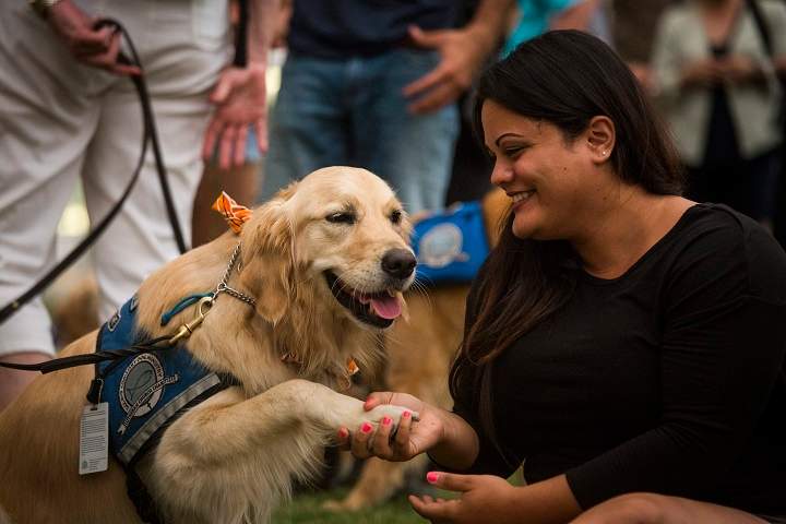 Melissa Soto shakes a paw of comfort dog Susie near a memorial site in honor of the victims of the Orlando mass shooting in Orlando, Florida, 14 June 2016.
