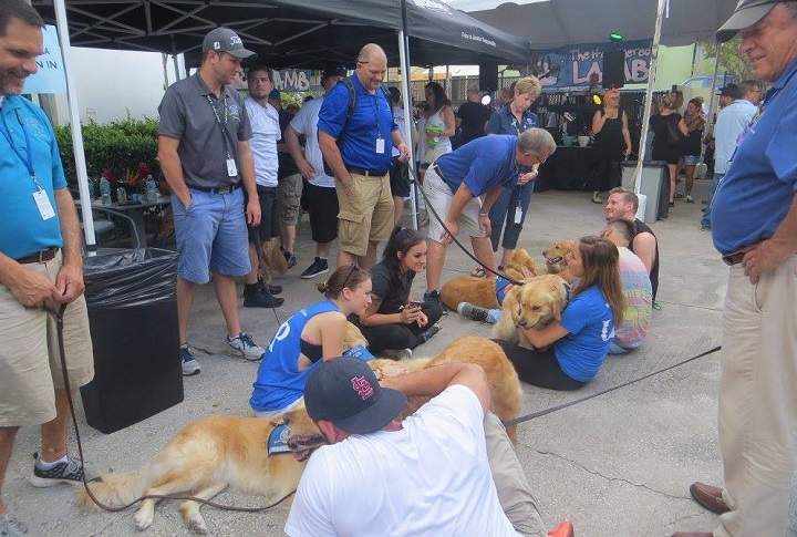 The dogs "helping out at a fundraiser for the employees of the Pulse."