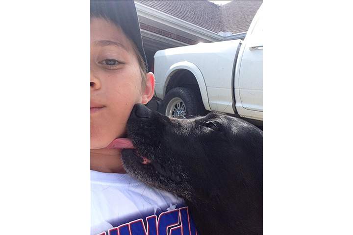 Little boy sneaking into neighbour’s garage to hug dog caught on camera - image