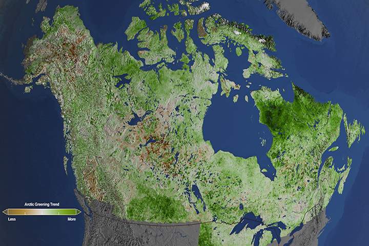 Using 29 years of data from Landsat satellites, researchers at NASA have found extensive greening in the vegetation across Alaska and Canada.
