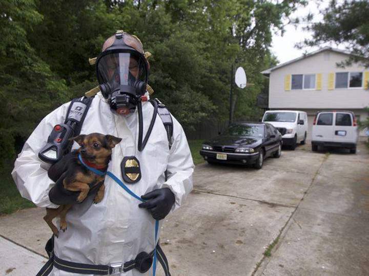 Over 275 dogs rescued from New Jersey hoarder home - image