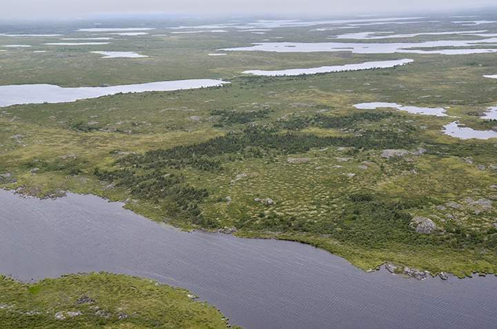 The view from a plane that is carrying instruments to measure the health of vegetation in the Arctic tundra of the Northwest Territories of Canada.