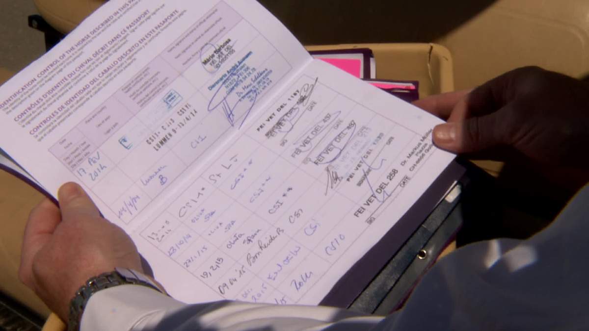 Horses literally get passports stamped as Road to Rio goes through Spruce Meadows - image