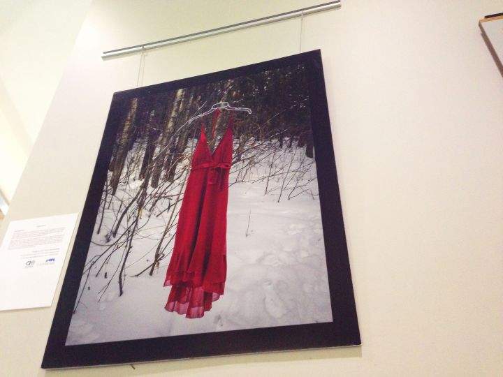 REDress Project